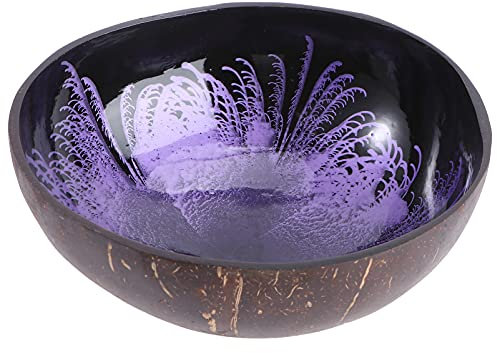 Hemoton Cuencos De Coco,Cuencos De Coco Pulido,Coconut Bowls Natural Con CáScara De Coco TazóN Decorativo Para Almacenamiento De Llaves De Contenedor De Nueces (PúRpura)