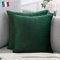 Douceur De Plumes Lot de 2 Housse de Coussin décorative Vert Foncé Velours 60x60 cm Uni, Taie d'oreiller Vert Bouteille Carré Doux et Moderne Salon Canapé Scandinave (2 Vert Foncé)