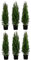 Dehner Thuja Smaragd, für 2 Meter Hecke, ca. 80-100 cm, 6 x 5 l Topf, Heckenpflanze