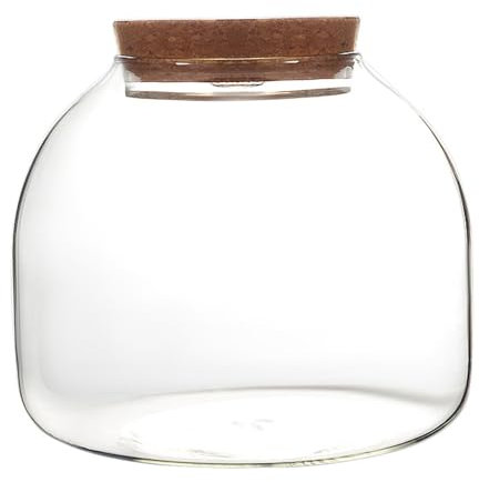 Pesoncarl Terrarium en Verre pour Plantes, 1600 ML de Terrarium végétal avec Couvercle de liège, Grand Pot de Terrarium d'ouverture pour Mini Succulent dans Le Paysage, affichages Floraux