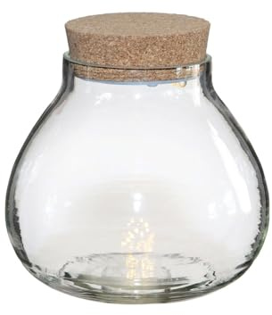 Graine Créative Terrarium à Faire soi-même avec LED Ø 20,5 x 20 cm
