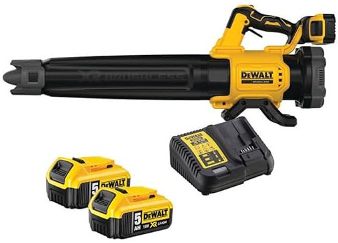 Souffleur de Feuilles XR 18V (2x5,0 Ah) - DEWALT DCMBL562P2