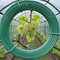 KARAT Fil de Tension en Métal plastifié Vert Ø3,1mm en Rouleau 55m, Fil métal Enduit PVC, Fil Tension pour clôture, Jardin, Bricolage, vignoble, tuteur des Plantes