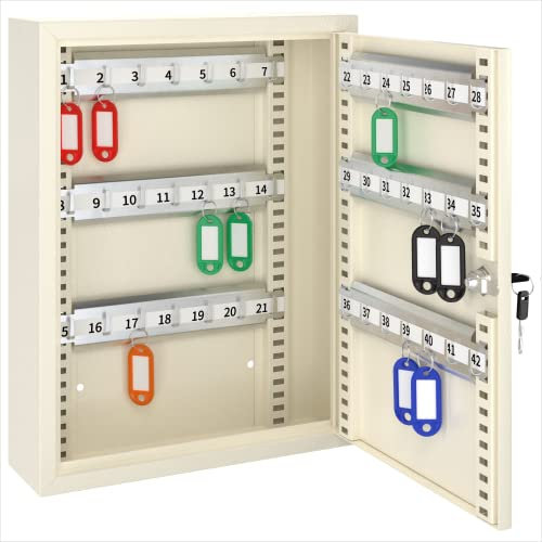 ACROPAQ - TS42 Boite à clefs - Crochets réglables, Verrouillable, avec 2 clés, pour l'extérieur - Armoire a Clef, Placards à clés - Blanc