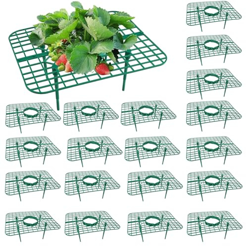20 Stück Erdbeerreifer, Erdbeeren Rankhilfe, Schneckenschutz Erdbeeren Ständer, Pflanzen Stütze für Erdbeerpflanzen, Gartenzubehör Pflanzenregal für Klettererdbeeren Erdbeerregal (D)