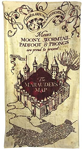 Harry Potter Serviette de Plage, Multicolore, Taille Unique