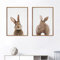 Trayosin Bilder Kinderzimmer 2er Set, Premium Kaninchen Poster Set, Wandbilder Deko Bilder Kinderzimmer Mädchen und Jungen Babyzimmer Deko Wandposter (40x50cm)