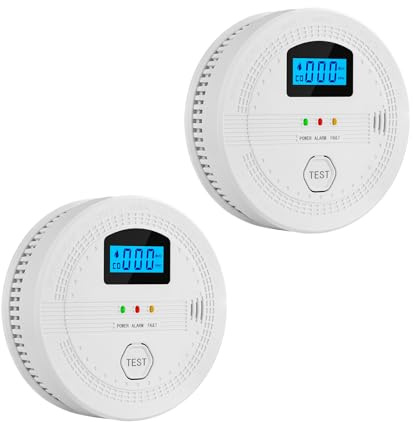 Lancoon 2 in 1 Rauch- und Kohlenmonoxiddetektor mit LCD-Anzeige Batteriebetrieben Photoelektrischer Sensor Stummschaltungstaste Zuhause CO & Rauchmelder Combo Tragbar Leicht zu Installieren 2 Pack
