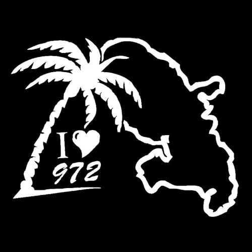 CHSLO Autoaufkleber 18,4 cm * 14,4 cm Ich liebe 972 Interessantes Wort Kokosnussbaum Vinyl Auto Aufkleber Symmetrische Figur Fenster Aufkleber