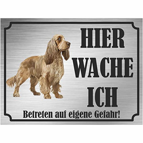 INDIGOS UG - Englisch Cocker Spaniel - Schild bedruckt - Hier wache ich - Aluverbundplatte Edelstahl Look - ab 20x15 cm - Spruch - Deko Geschenkidee für Ihren Hund - Zaun - Türschild