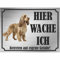 INDIGOS UG - Englisch Cocker Spaniel - Schild bedruckt - Hier wache ich - Aluverbundplatte Edelstahl Look - ab 20x15 cm - Spruch - Deko Geschenkidee für Ihren Hund - Zaun - Türschild