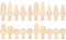 Toddmomy 20pièces Mini Arbres Bois Non Décorations à Peindre pour Bricolage Arbres Bois Miniatures pour Activités Créatives