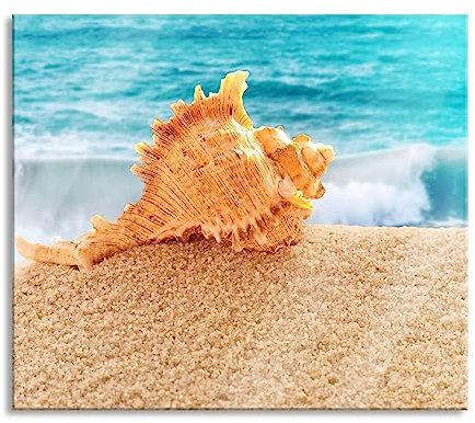 Muschel am Strand Herdabdeckplatte & Spritzschutz aus Echtglas | Für Herd-Kochfelder | 60x52 cm