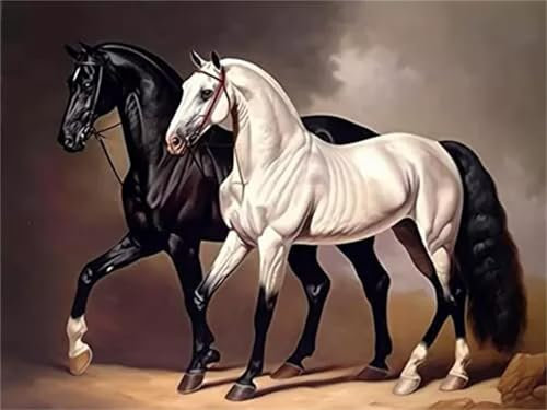Peinture par Numero Adulte,Chevaux blancs noirs DIY Peinture Acryliques pour Débutants Kit de Peinture à l'huile sur Toile avec Brosses et Acryliques Cadeau pour Maison Décor(sans Cadre)45x60cm