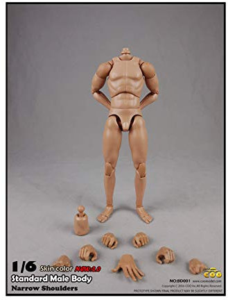 Leying 1/6 Maßstab Standardkörperform Schmale Schulter Männlicher Körper Puppe Skizze Zeichnung Menschlicher Körper (25cm)