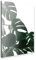 artboxONE Alu-Print 60x40 cm Natural Monstera von Künstler Emanuela Carratoni