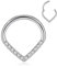 hengkaixuan Septum Schmuck 16G Titan Daith Ohrringe mit CZ Teardrop Septum Clicker Ring Silber Nahtloser Higned Segment Ring Rook Conch Knorpel Helix Creolen Nasenring Piercing Schmuck 10mm