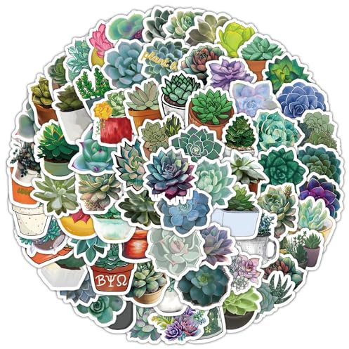 100Stück Sukkulenten Aufkleber für Motorrad, Fahrrad,Auto,Fahrrad, Stoßstange,Gepäck,Laptop,Kühlschrank,niedliche Pflanze Wasserdicht Aufkleber,Geschenk für Mädchen Kinder,Blumen Ästhetische Sticker