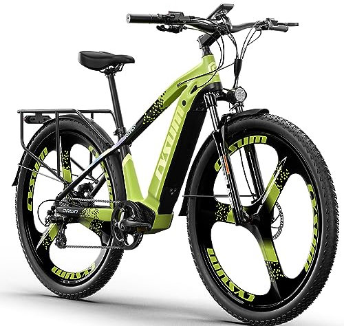 cysum Speedy Electric Bike, 29'' E-Mountain Bike with 48v 672Wh Lithium Battery, Range 100 km, Torque 75 Nm, 25 km/h, Hydraulic Disc Brake,E-MTB E-bike for Adults Men Women (Green)
