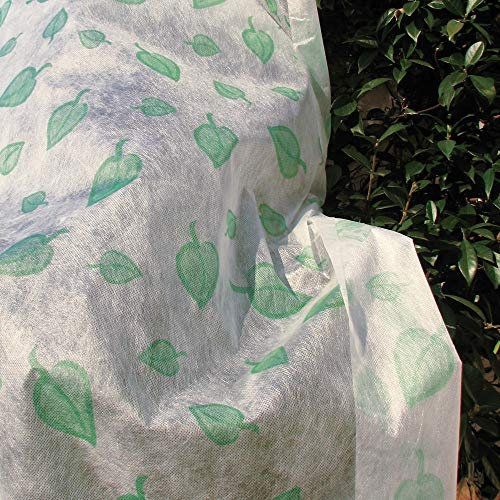 TENAX Ortoclima Deco, Velo Protector para Plantas, Peso 30 g/m², 1,60 x 10 m, decoración de Hojas Verdes, Tela no Tejida de Invierno, Blanco/Verde