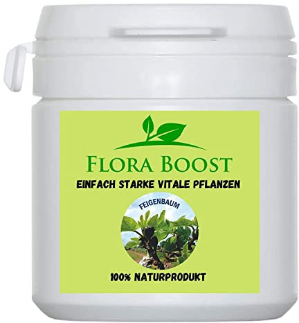 Flora Boost Feigenbaum Dünger Flora Boost 100g I Für bis zu 100L Gießwasser I Dünger in Pulverform I Für Feigen Bäume & Sträucher I Blatt- & Wurzeldünger I 100% natürlicher Pflanzendünger
