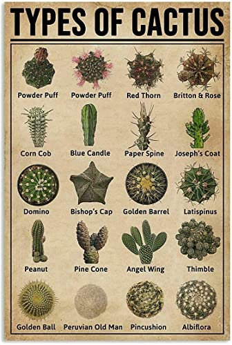 Oudrspo Kaktus Wissen Blechschild Vintage Arten von Kakteen Retro Metall Poster Garten Bauernhaus Landhaus Garten Innenhof Wanddekoration Plakette 8x12 Zoll