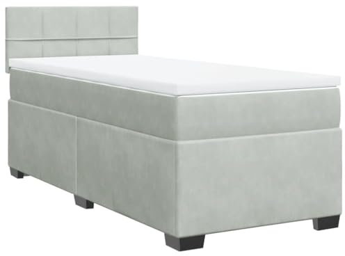vidaXL Boxspringbett, Polsterbett Bett mit Matratze LED, Bettgestell mit Kopfteil Lattenrost, Einzelbett für Schlafzimmer, Hellgrau 80x200cm Samt