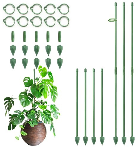 Pflanzenstütze, RIFNY 30cm Staudenhalter Rankhilfe Zimmer mit Clips | Pflanzenhalter für Monstera Orchideen Tomaten Rosen und Blumen, 10 Stück, Grün