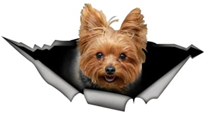 SHUNHUA 3D Hunde Aufkleber, Selbstklebender Aufkleber, Yorkshire-Terrier, 3D-Haustier, Autoaufkleber, wasserdicht, Autodekore auf Stoßstange, Heckscheibe, Motorrad, Laptop