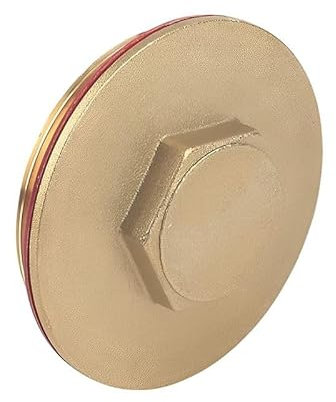 2.1/4 Brass Immersion Heater Plug & Washer (Known as Immersion Heater Washer/Flange Washer/Immersion Heater Plug)