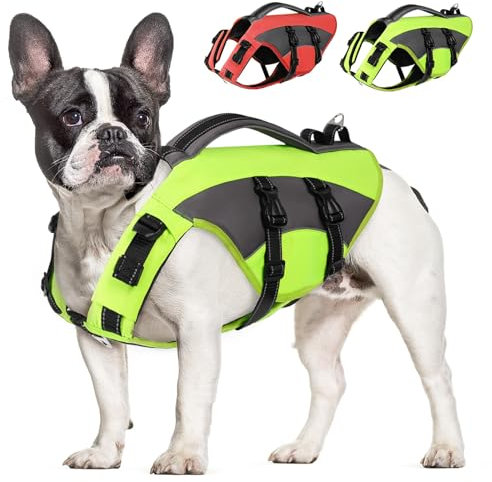 CITÉTOILE Hunde Schwimmweste mit Griff und Reflektierend, Einstellbare Rettungsweste für Kleine Mittel Große Hunde, Langlebigem für Wassersport Schwimmen und Bootfahren, Grün, L