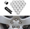 JZWJNFYY 20 Pièces Cache Ecrou,pour Volvo XC40 2018-2021 2022 Capuchons Ecrou Bouchons Protecteurs D'éCrou Couvre Ecrou Protection Couvre avec Outil Demontage,Silver-19mm
