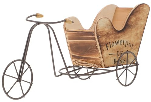 HEANUJJ Vintage Eisenfahrrad Deko Pflanzgefäß für Kleine Topfpflanzen