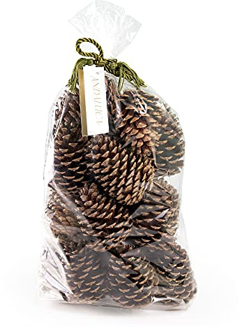 ANDALUCA Pinecone Vase & Bowl Fillers | Scented Pine Cones Decor (Natural)
