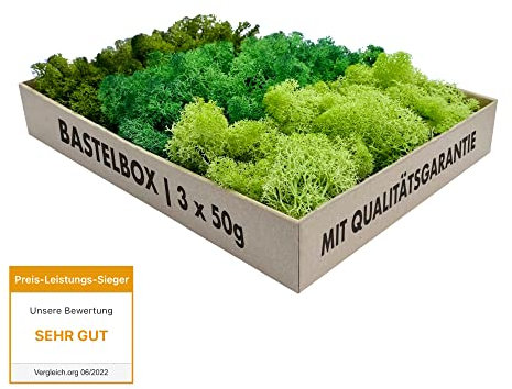 GJS Islandmoos – Bastelbox: Moos in 3 versch. Farben (150g) - Echtes konserviertes Natur-Moos (Island) zum Basteln, Dekomoos für die Deko zu Ostern, Modellbau