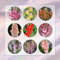 20 Pcs Gladiolen Zwiebeln Winterhart - Blumenzwiebeln Frühblüher, Hydrokultur Pflanzen Gladiolen Knollen, Frische Blumen, Gartendeko Für Draußen Blumen Geschenk, Deko Wohnzimmer Blühwiese