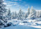 AIIKES 12x10FT Schneelandschaft Hintergrund Winter Wald Schnee Baum Fotografie Hintergrund Outdoor Himmel Winter Schneefeld Landschaft Schneebedeckte Kiefern Fotostudio Requisiten 12-346