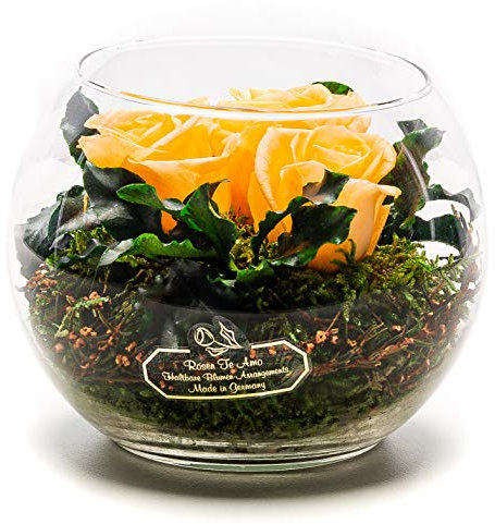 Rosen-Te-Amo |Konservierte Blumen-Arrangement, duftend, Peach handgemacht mit echten Foliage Geburtstagsgeschenk für Frauen, Rosen Geschenke für Mama| Blume zum Weihnachten, Valentinstag, Muttertag