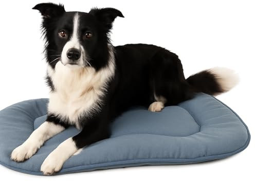 Flamingo Hundekissen Firenze – Dünnes Ovales Kissen, Blau, 71x51x3 cm, Luxuriös & Bequem – Ideal für Beagle, Border Collie, English Cocker Spaniel usw.