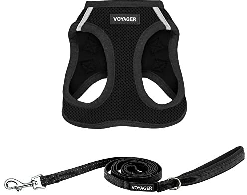 Voyager Step-in-Air-Katzengeschirr – Allwetter-Netzgewebe für kleine und mittelgroße Katzen von Best Pet Supplies – Geschirr-Set mit Leine, Schwarz, XXS