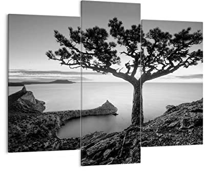 Moderne Impression sur Toile 130x100cm Image Tableau Decoration Murale Arbre Noir Et Blanc Vue Tableaux Decoratifs Muraux Chambre Triptyque 3 parties Deco Décoration Salon Art Wall CB130x100-4297