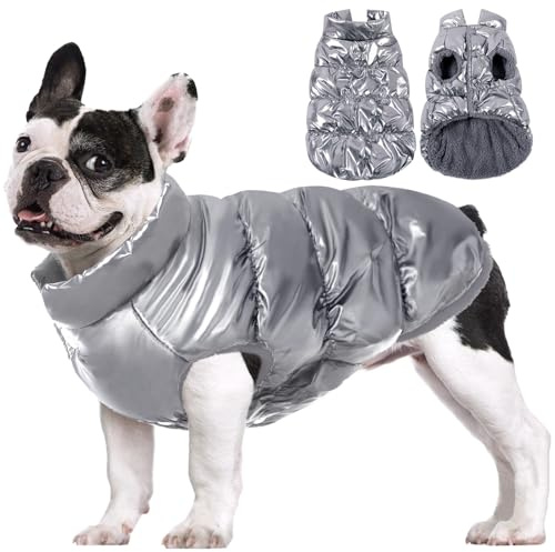 AOFITEE Hundemantel, wasserdichte Hundejacke, Winter Hundemäntel für kleine Hunde, Fleece Hund Schneeanzug Warme Hund Puffer Jacke, Gemütliche Haustier Winterweste, Silber, XL