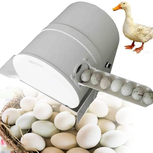 CGLYYDS Eierwaschmaschine, Hühner-Enten-Eierwaschanlage, 2300 Stück/h Hühner-Enten-Gänseei-Ei-Reiniger-Waschmaschine, Eierwaschmaschine für den heimischen Bauernhof