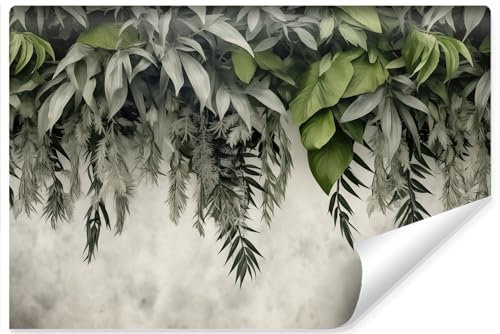 Muralo Fototapete Selbstklebend 3D, Blätter, Beton-Optik - 520x318 cm