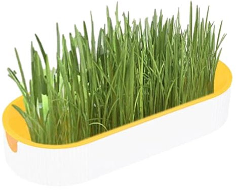 Maceta De Hierba Para Gatos - Juego De Caja Para Plantar Hierba Para Gatos, Juego De Cultivo De Plantas Hidropónicas Para Hierba Para Gatos | Bocadillos Para Gatos Sin Tierra Para La Digestión De Alim