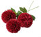 Künstliche Topfblumen, atemberaubende Chrysanthemen-Kugel, für Wohnzimmer und Veranstaltungen, Rot