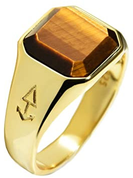Rock and Steel Herren Ring Horus Gold Siegelring mit Tigerauge Stein aus 925 Sterling Silber 18K Vergoldet (69 (22.0 mm))