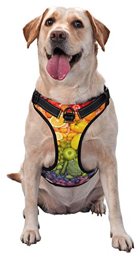 Regenbogen-Hundegeschirr, Gemüse und Obst, bedruckt, kein Ziehen, verstellbar, reflektierend, Haustier-Oxford-Weste, einfach anzuziehen