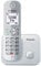 Panasonic KX-TG6851JTS Telefono Cordless Digitale, Unità Base e Ricevitore Singolo, ID Chiamante, Blocco Chiamate Indesiderate, Suoneria Categoria, Display LCD, Tastiera Illuminata, Argentato