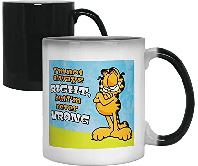 Giftme I Am Not Always Right But I Am Never Wrong Coffee Tea Mug Unique Magic Mug Ceramic Mug.